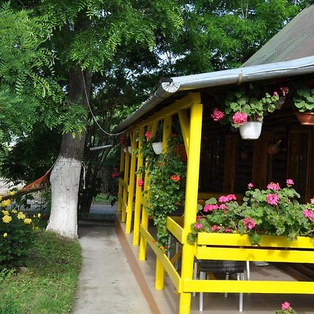 Pensiunea Rustic Eforie Sud  Exterior foto